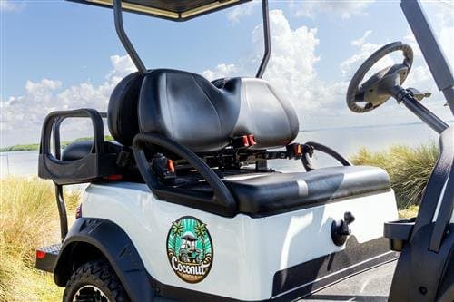 Standard 4-Passenger (Club Car, Gas) — 4-seat street-legal LSV — another view