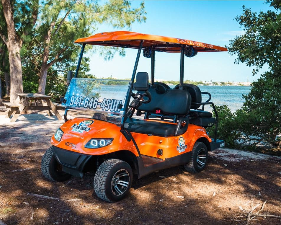4-Passenger Electric Golf Cart — 4-seat street-legal LSV — another view