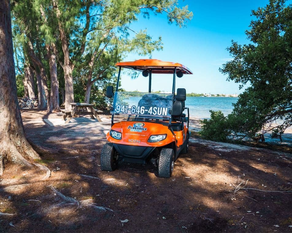 4-Passenger Electric Golf Cart — 4-seat street-legal LSV — another view