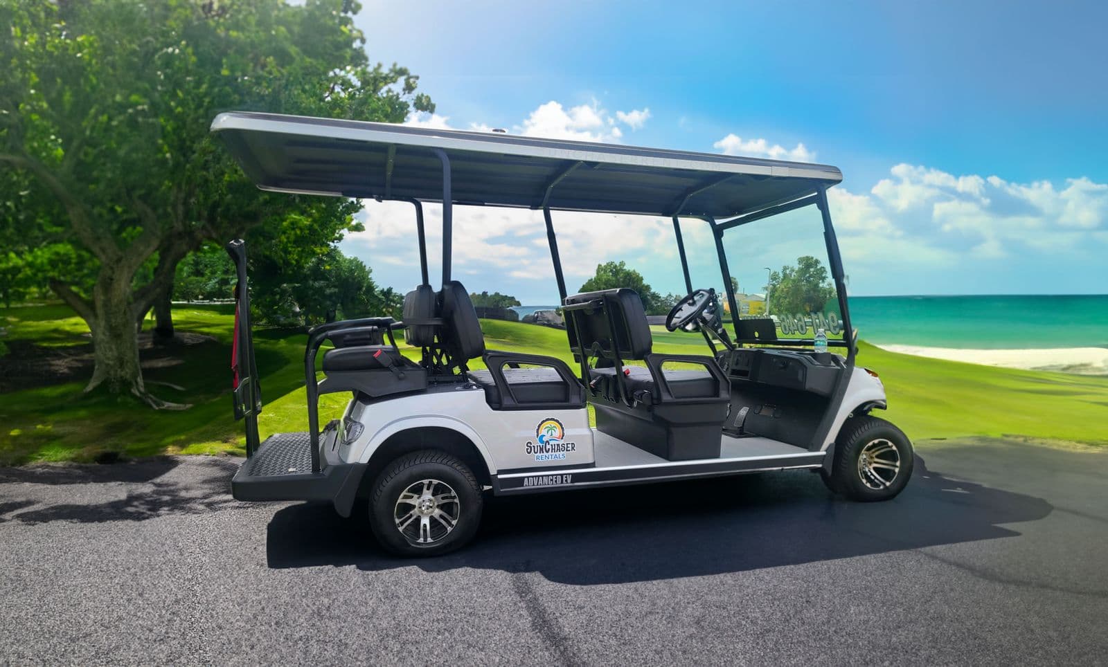 6-Passenger Electric Golf Cart — 6-seat street-legal LSV — another view