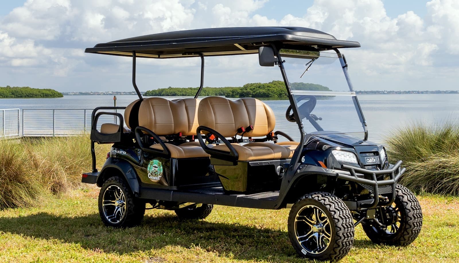 Premium 6-Passenger (Club Car, Gas) — 6-seat street-legal LSV