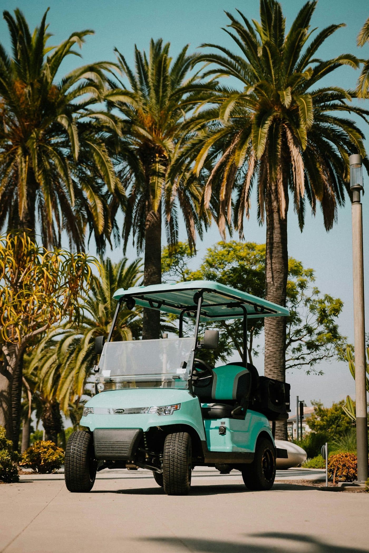 Best Time of Day to Drive Around Venice in Season
