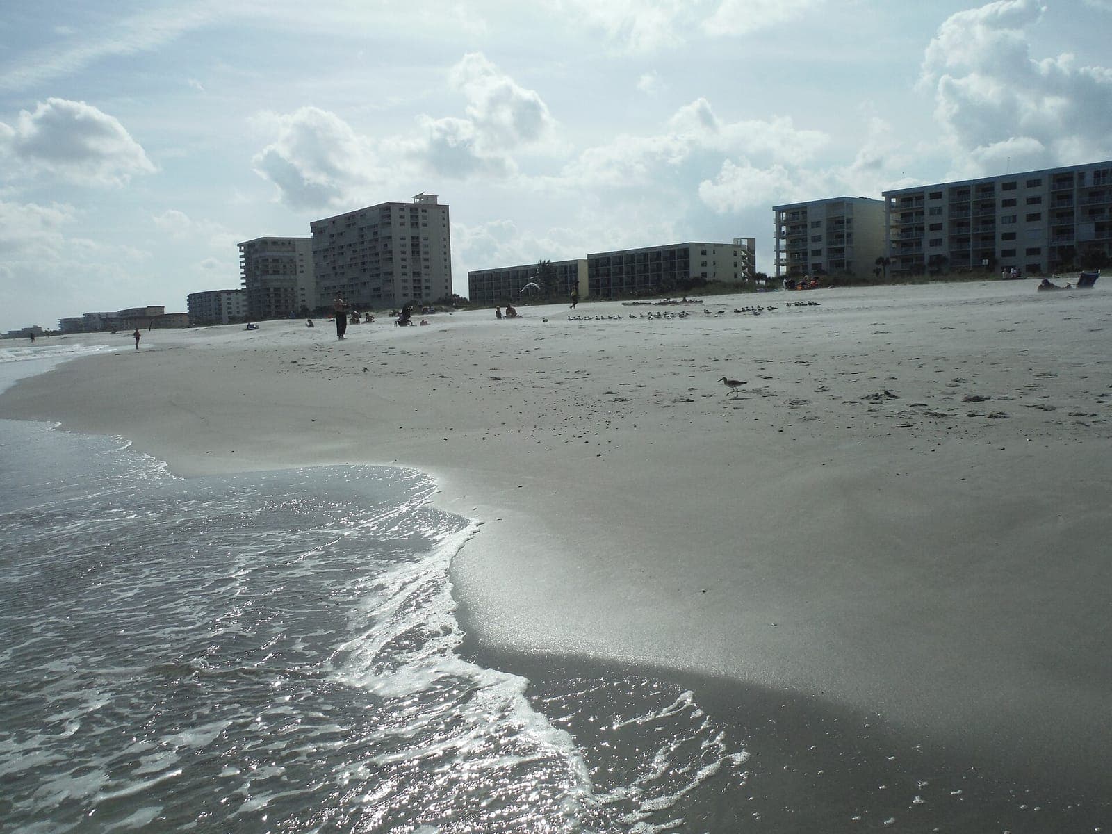 Golf cart rentals in Cocoa Beach — Explore Cocoa Beach with ease using street-legal golf carts and LSVs.