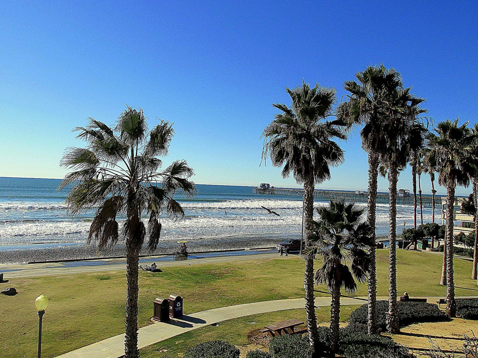 Golf cart rentals in Oceanside — Explore Oceanside with ease using street-legal golf carts.