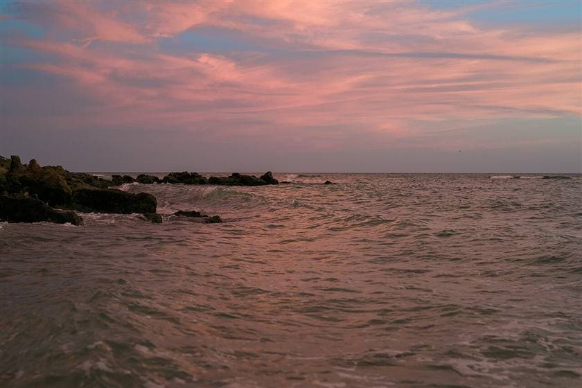 Golf cart rentals in Venice — Shark-tooth beaches and a walkable island downtown